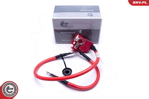 Adattatore batteria per bmw - batteria,
