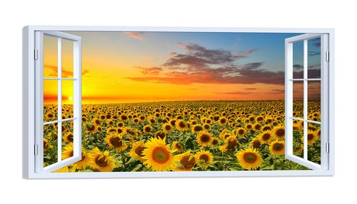 Quadro stampa tela con - quadro,