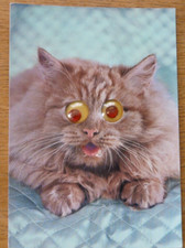 CARTOLINA CON OCCHI SEMOVIBILI ANNI 70 - GATTO MARRONE