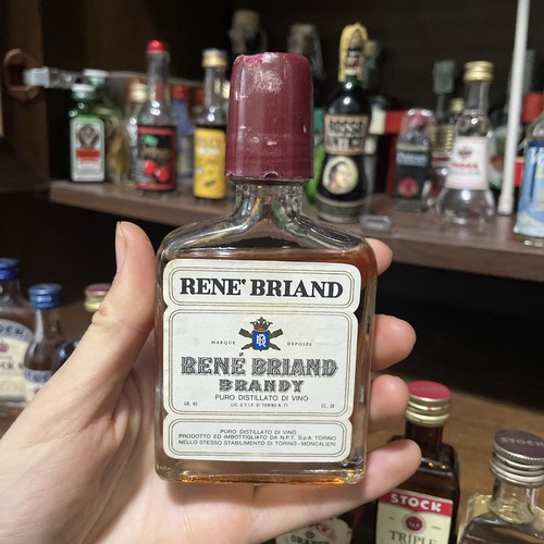 Mignon miniature rene briand - mignon,