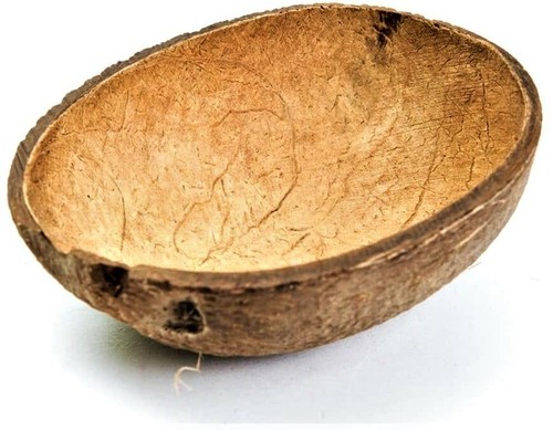 Set coconut shell nature - set,