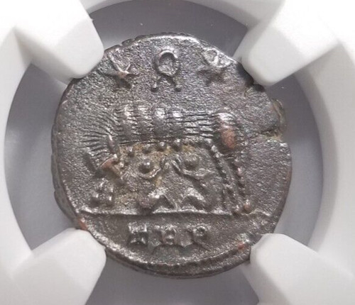 Gemelli lupo costantiniani ngc - lupo,