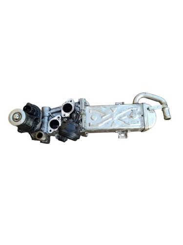 Scambiatore egr volkswagen
