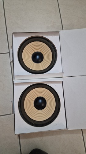 Woofer daniel sound - 20,