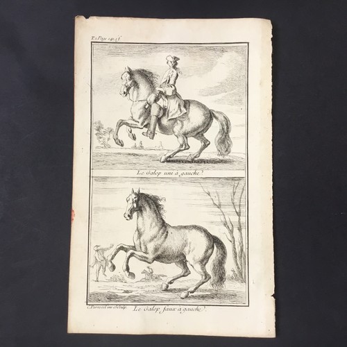 Incisione parrocel - incisione, (1688-1752)