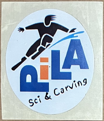 Pila sci carving - sci, e