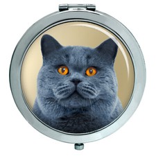 Specchio Compatto Per Gatto