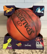 Space Jam 30th Anniversary