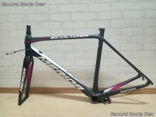 2017 merida scultura - 2017, team