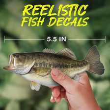 Largemouth Bass Vinyl Decal