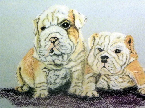 Peinture pastel animalier - peinture, "