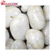 FLORTIS Pietre di fiume