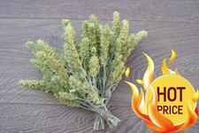 1 Kg tè di montagna naturale