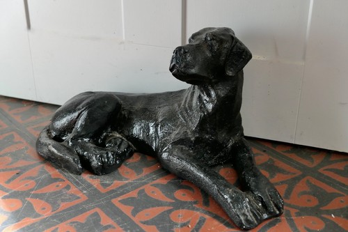 Cucciolo labrador nero - di,
