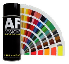 Bomboletta spray RAL vernice