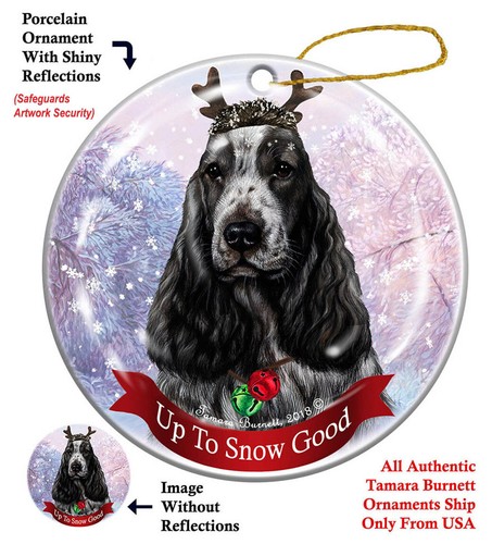 Snow good ornament - to,