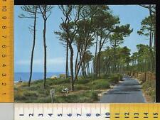 46936] LIVORNO - MARINA DI CECINA - LE GORETTE - PINETA