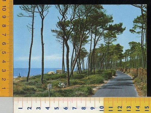 46936 livorno marina di - livorno,