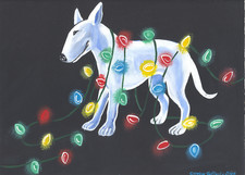 Stampa Bull Terrier 8 x 10