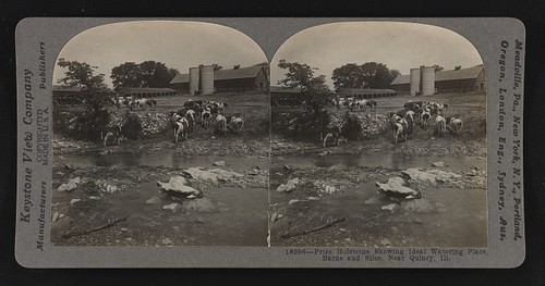 Foto premio quincy - foto:, illinois