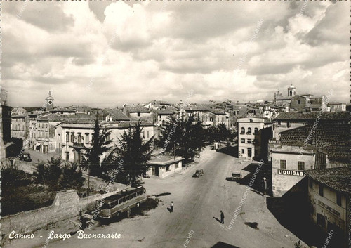 Eb265 cartolina canino - cartolina,
