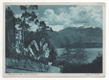 NEL PARCO DELLA VILLA CARLOTTA