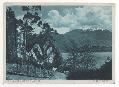 Nel parco della villa - nel, carlotta