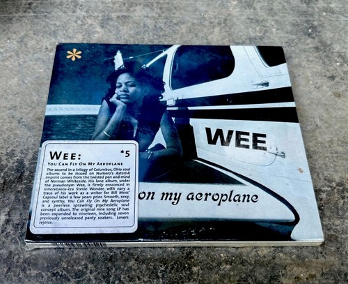 You can fly aeroplane by - can, on