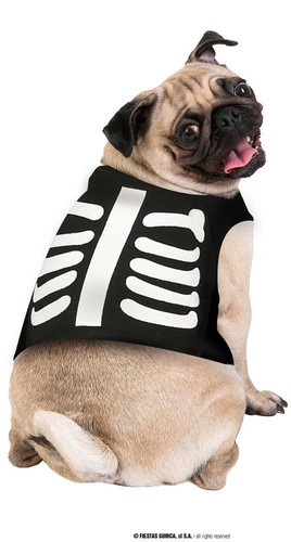Costume per cane scheletro - costume,