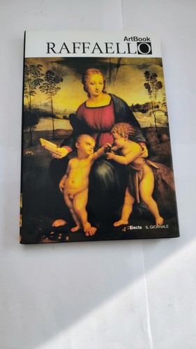 Raffaello artbook il - -,