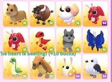 Roblox adopt me pets - ✨️,