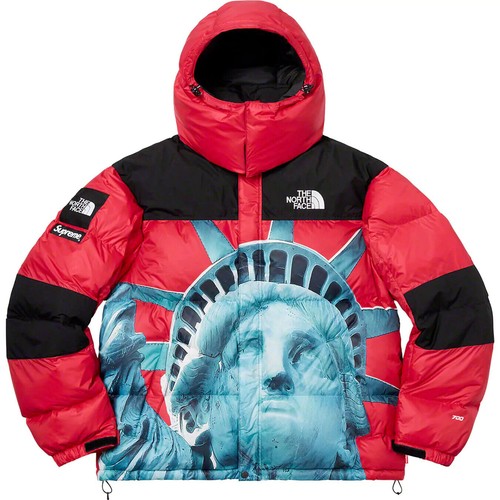 Giacca supreme the north face - the,