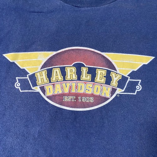 Harley davidson motorcycles - harley,