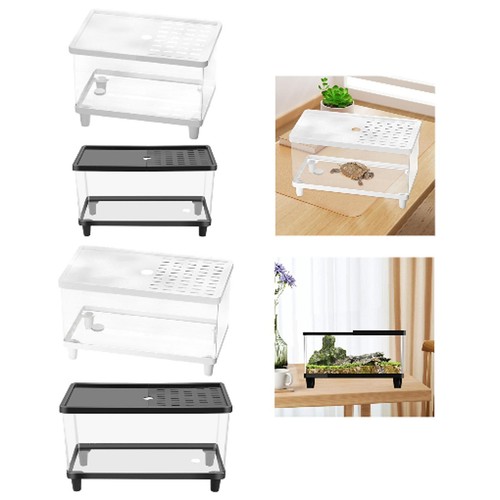 Mini terrario per rettili
