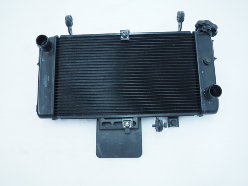 Radiatore suzuki sfv gladius - sfv,