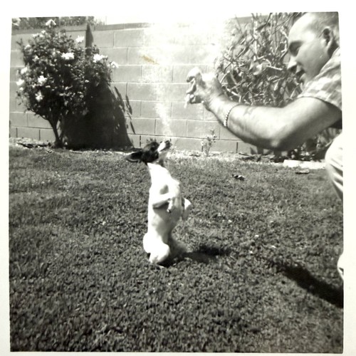 Foto vintage 1950 uomo fuori - uomo,