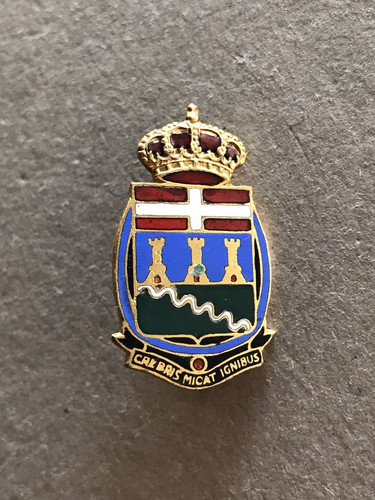 Distintivo cavalleggeri - , di