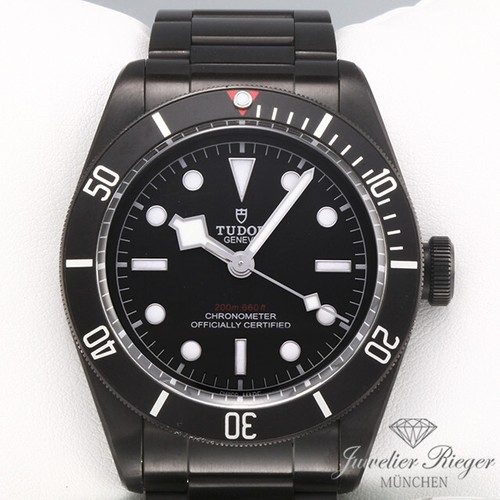 Tudor black bay - bay, dark