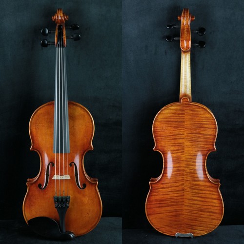 Violino leva alta bello - violino,
