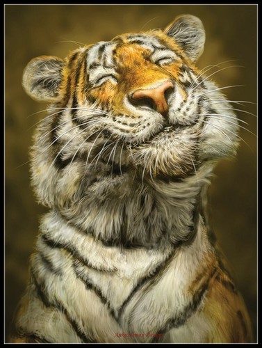 Tigre sorridente tabella fai - sorridente,