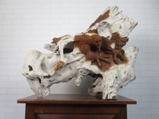 Scultura aquila radice legno - aquila,