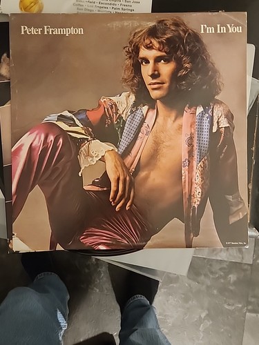 Peter frampton 1977 - 1977, in