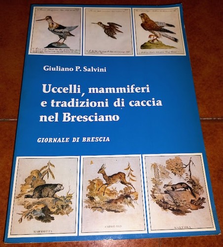 Salvini uccelli mammiferi - salvini, e