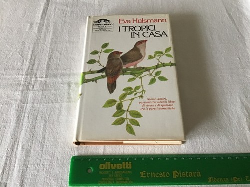 Tropici casa eva - in,