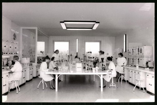 Fotografia wolfram kahle - fotografia, dr.