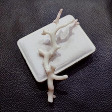 Ramo di corallo bianco