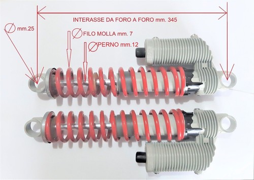 Ammortizzatori posteriori