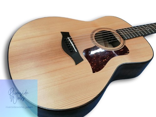 Chitarra elettrica acustica