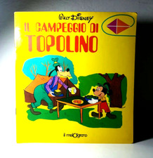 IL CAMPEGGIO DI TOPOLINO WALT