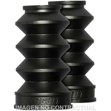Fuelle Circuit Harley Davidson
